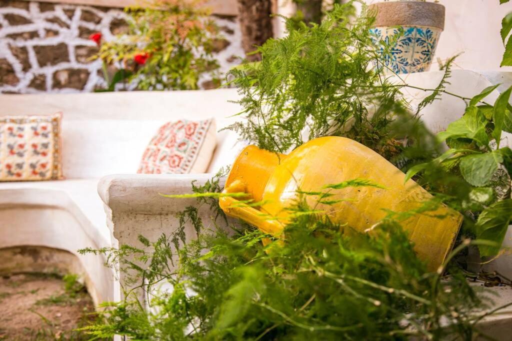 Oasis Villa เปรเวซา ภายนอก รูปภาพ